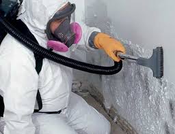 Best Comprehensive Air Testing for Mold Contaminants  in Navasota, TX